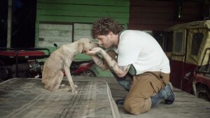 German influencer on New Year’s fireworks: ‘We’re collectively causing animal suffering’