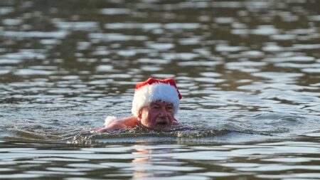 Video. Winter swimmers take a plunge on Christmas Day in Berlin