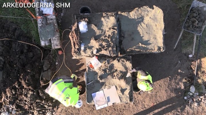 Stone Age dog buried with 5,000-year-old dagger found in Sweden