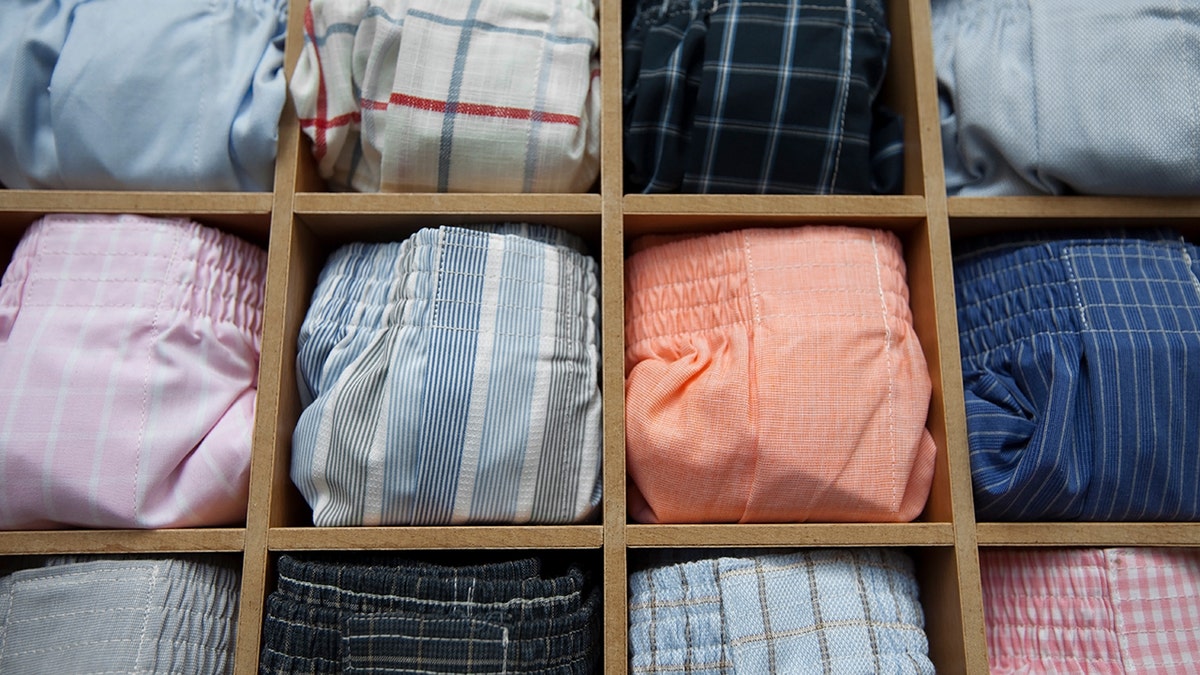 boxers displayed in square cases