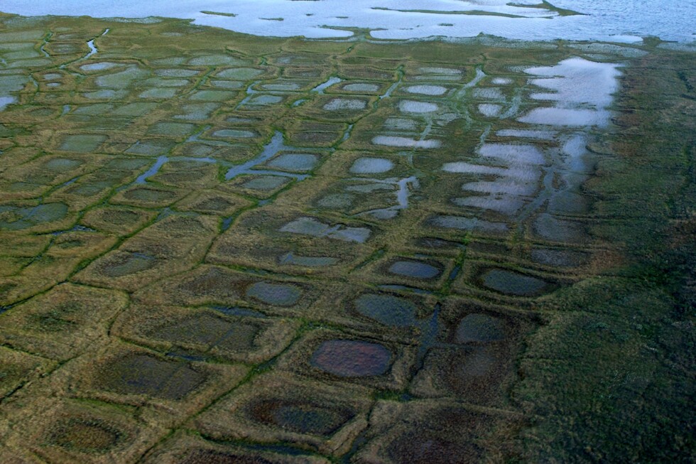 Federal judge allows winter oil and gas exploration in Alaska