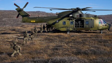 NATO allies are increasingly using reservists. Here’s why