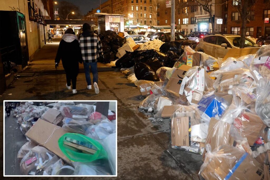 NYers raise a stink over trash buildup as ‘limited collection’ continues 7 days after winter storm: ‘It’s disgusting’