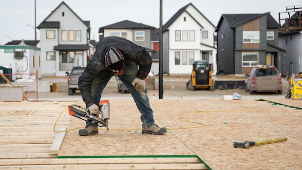 Faced with surging demand, Alberta broke housing construction records. Is there a lesson there?