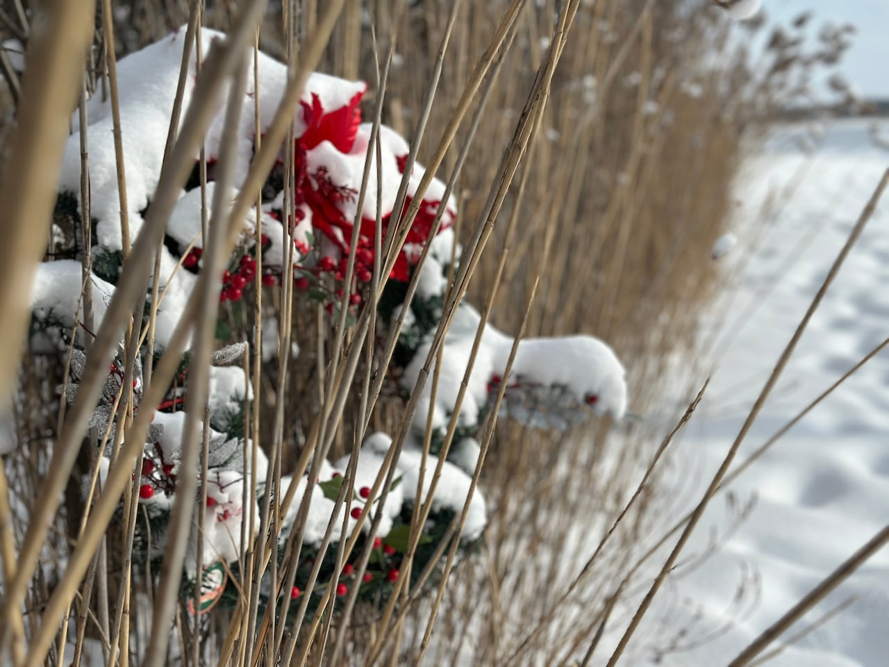 A wreath hung Tuesday by the side of the country road where Misler was found. 
