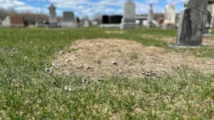 Ontario’s ‘troubling’ surge in unclaimed bodies is not letting up