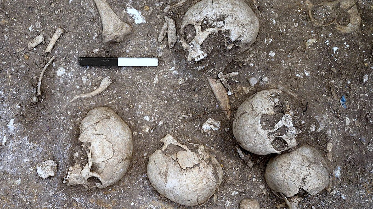 The mass grave at the Iron Age hillfort in Wandlebury.