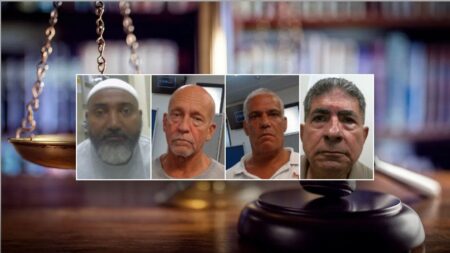Federal Judge releases four illegal immigrants convicted of murder, sex crimes from ICE Custody