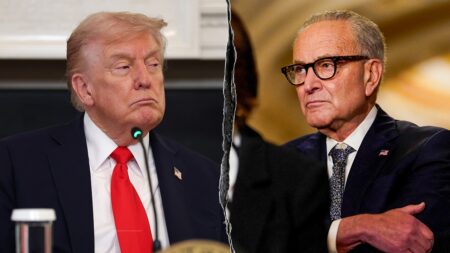 Dems unmoved as White House reveals DHS concessions in shutdown battle