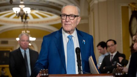 Schumer says Dems will fight voter ID push ‘tooth and nail,’ balks at DHS role in elections