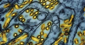 Infectious disease data safe from cyberattack, Ontario public health unit says