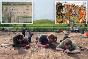 Archaeologists discover ‘elite site’ on land once owned by legendary English king