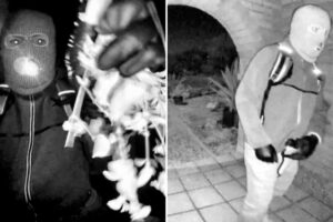 Key giveaways in Nancy Guthrie case that show suspected kidnapper is not ‘a trained assassin’: former FBI special agent