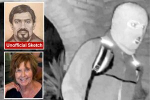Nancy Guthrie kidnapper’s possible looks revealed by forensic artist after reviewing surveillance footage