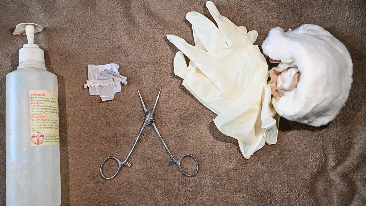 Medical instruments, gloves and cotton used in medicalised female genital mutilation procedures.