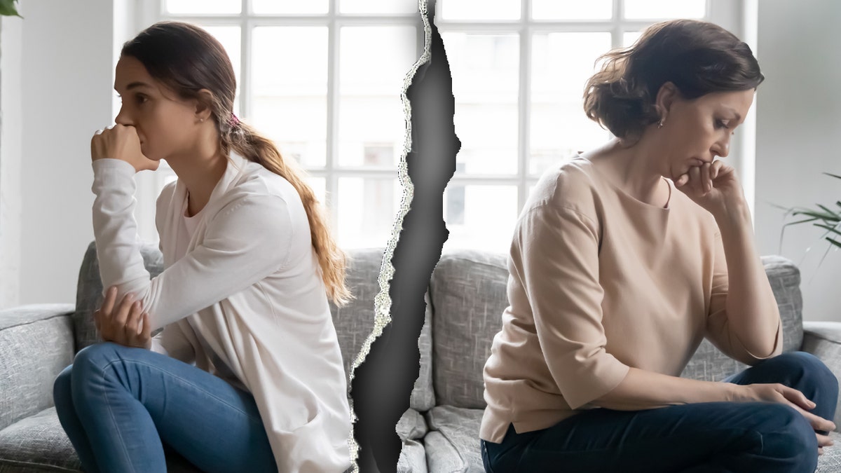 Mother-daughter estrangement - parental fighting