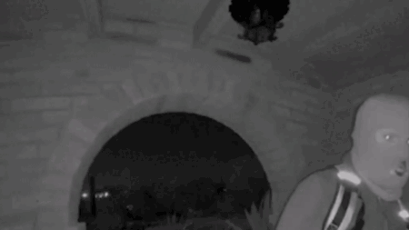What the timing of the FBI’s image release suggests in the Nancy Guthrie case: crime insider