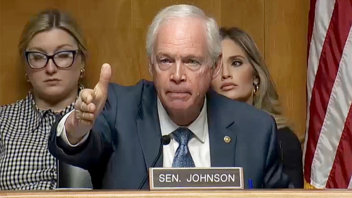 Sen. Ron Johnson gestures while speaking at hearing