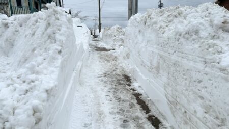 Nova Scotia schools could break records with snow days piling up