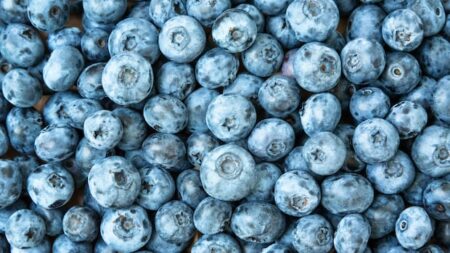 Frozen blueberries recalled over Listeria concern didn’t reach customers in Canada: CFIA