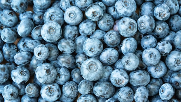 Frozen blueberries recalled over Listeria concern didn’t reach customers in Canada: CFIA