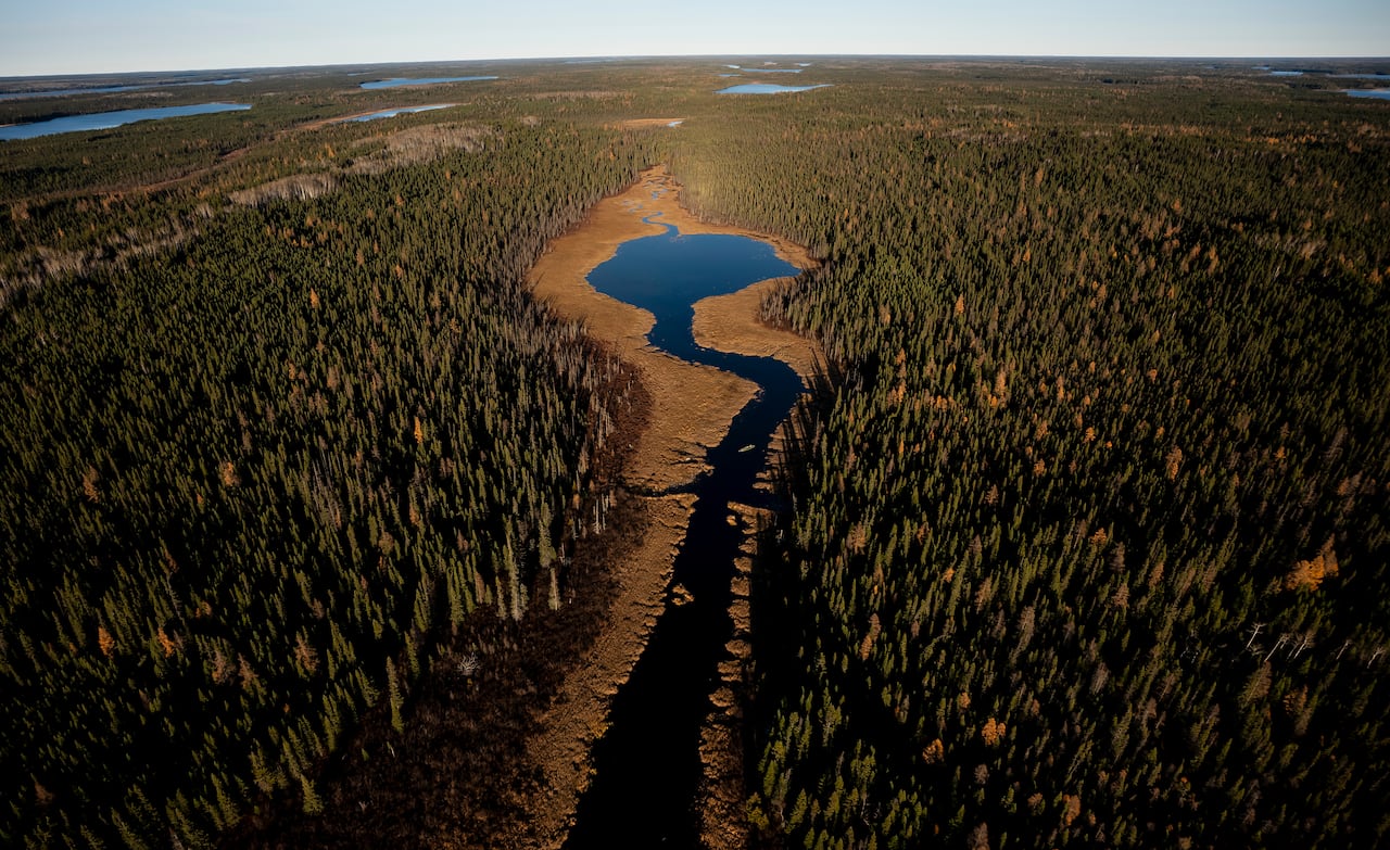 Rivers and forests east of Neskantaga, Ont., on Saturday, Oct., 25, 2025