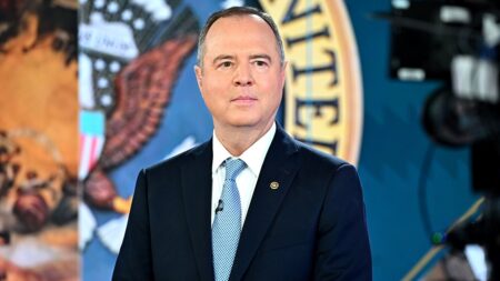 Dem senators in the hot seat as Republicans rip their DHS vote amid terror threats: ‘Under attack’