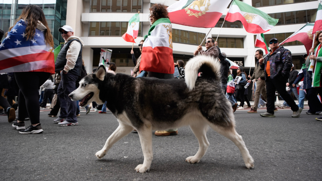 With dogs, dance and uncovered hair, Iranians defy ‘unholy alliance’ of socialists, radicals: ‘Hypocrites!’