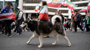 With dogs, dance and uncovered hair, Iranians defy ‘unholy alliance’ of socialists, radicals: ‘Hypocrites!’