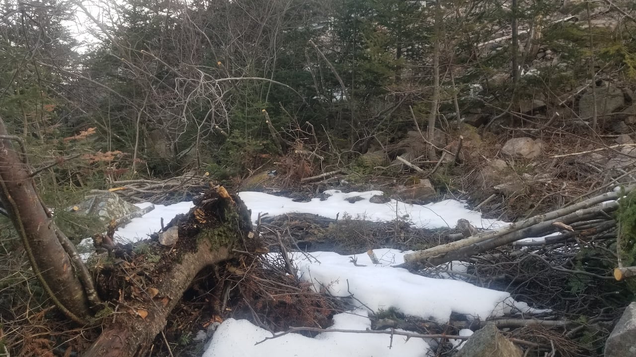 A bunch of trees crushed, partly covered in snow