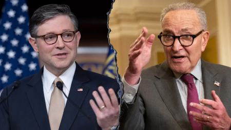 Johnson turns up heat on Schumer as DHS shutdown drags on, airport delays mount