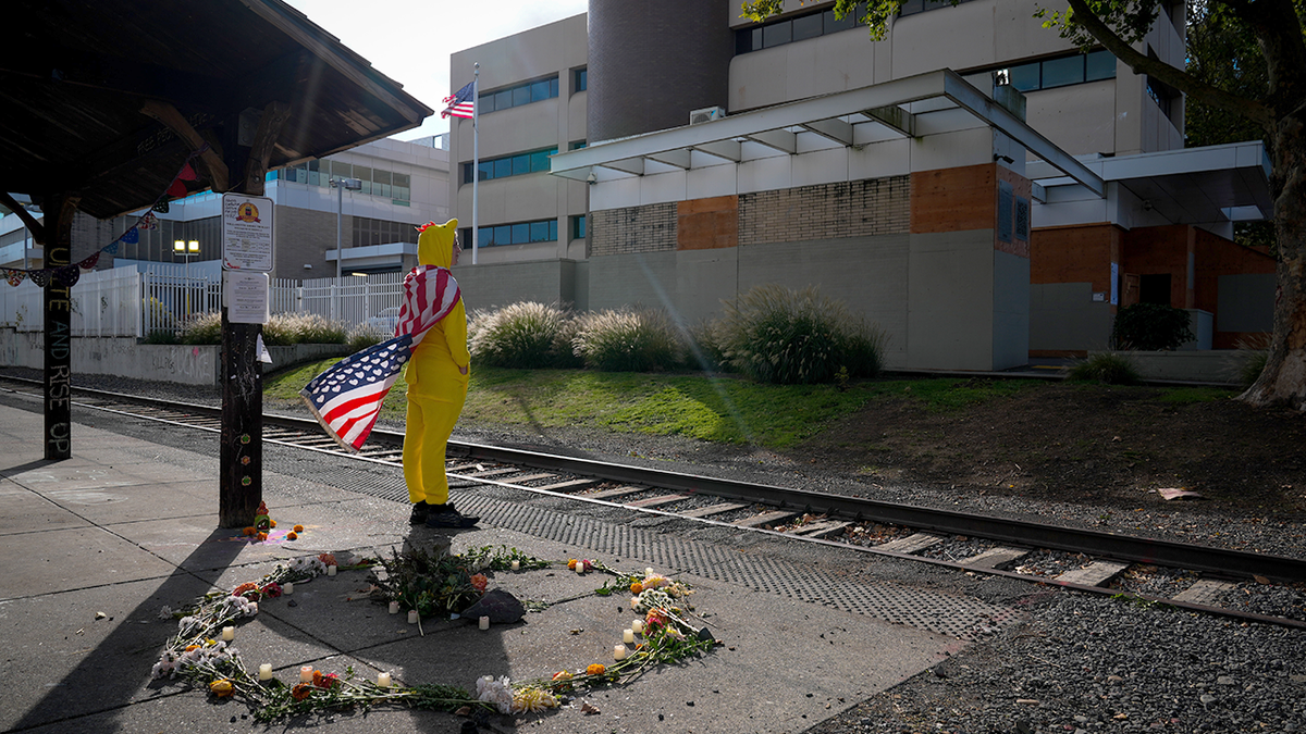 Protester dressed in a chicken costume