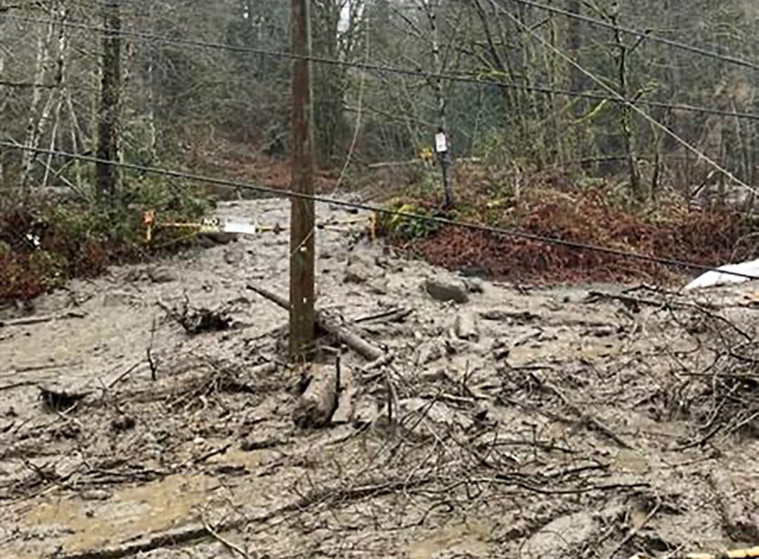 A mudslide of mud and dirty water and forest debris like branches gather on trails in a forest as a power line sticks up in the middle.
