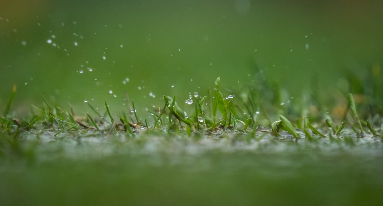A rainy muddy patch of grass.