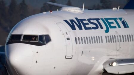 Transport Canada warned about WestJet seating ‘hazard’ weeks before viral video: documents