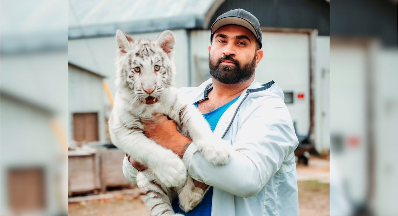 A man holds a juvenile tiger.