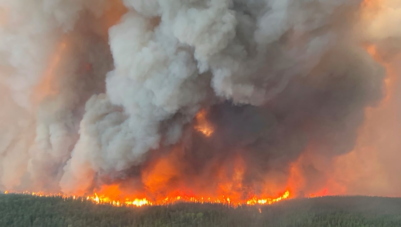 Flames burn through a forest in an aerial photo.