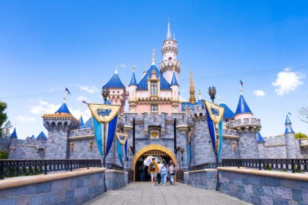 Hazmat incident at Disneyland hospitalized seven, cause revealed by officials