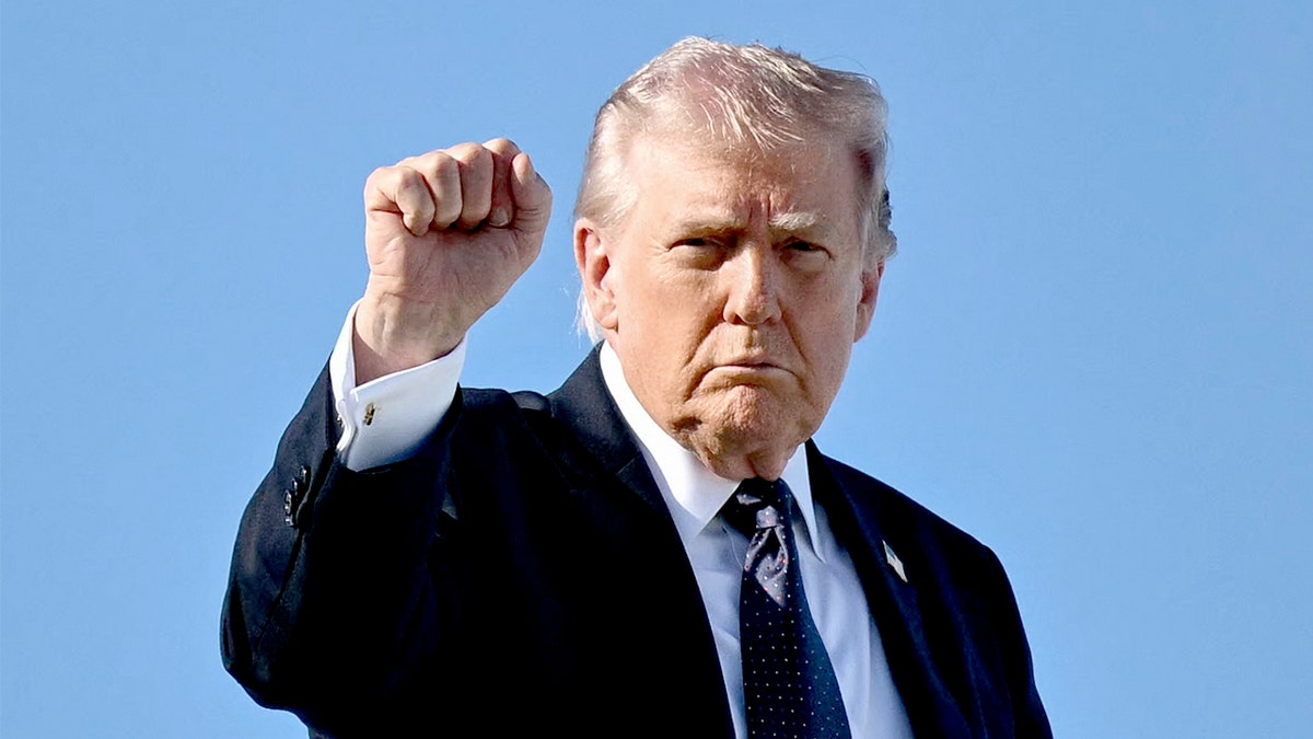 Donald Trump boards Air Force One