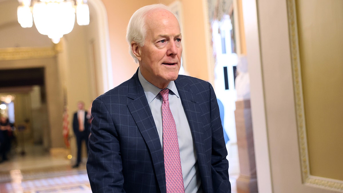 Sen. John Cornyn walks in the U.S. Capitol