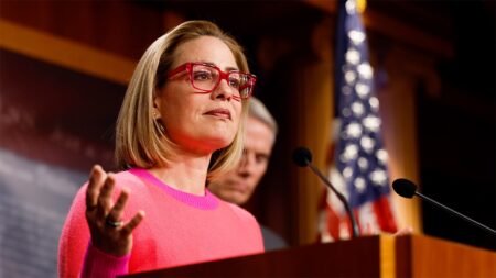 Ex-Dem senator admits to affair with former bodyguard in explosive court filing: ‘Romantic and Intimate’