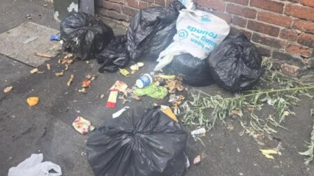 Rats as ‘big as RABBITS’ infesting one of UK’s worst fly-tipping hotspots