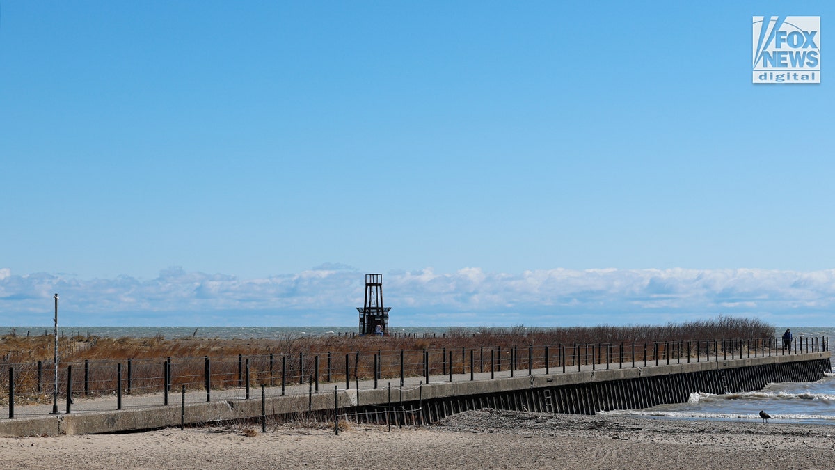 The shoreline where Loyola student Sheridan Gorman was allegedly shot by a migrant in Chicago
