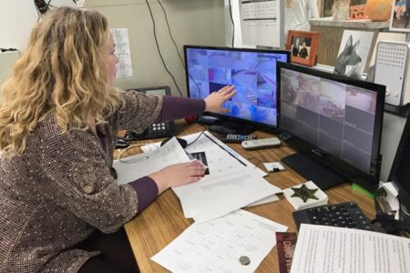 Michigan pits small, big schools for grant funding