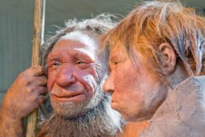 New study shows how humans and Neanderthals coupled up