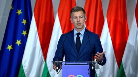 Winning Hungary’s election hasn’t stopped false claims about Magyar