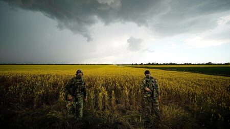 Ukraine-Israel row deepens over Russian sales of stolen grain