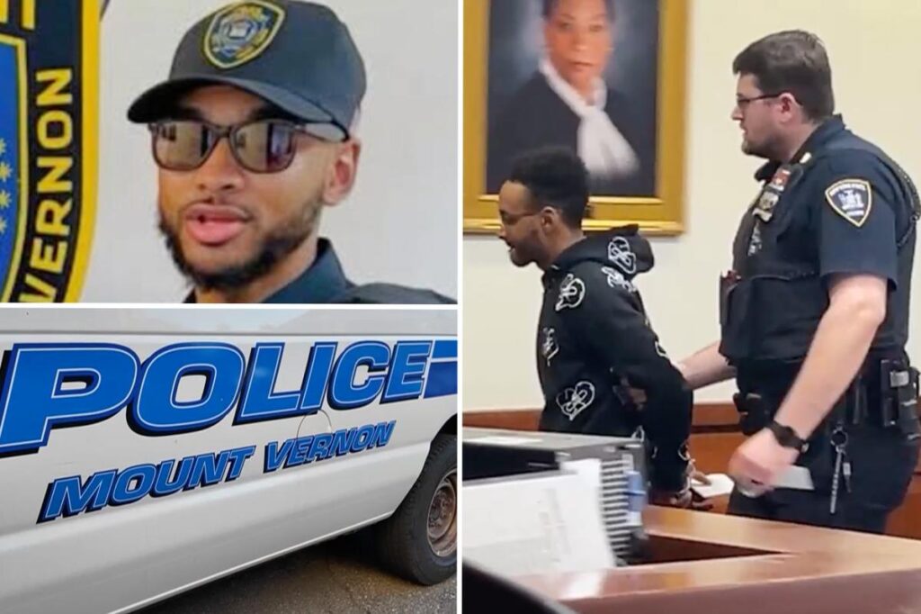 NY cop hailed as hero after fire rescue is busted in goofy $800K check scam: DA