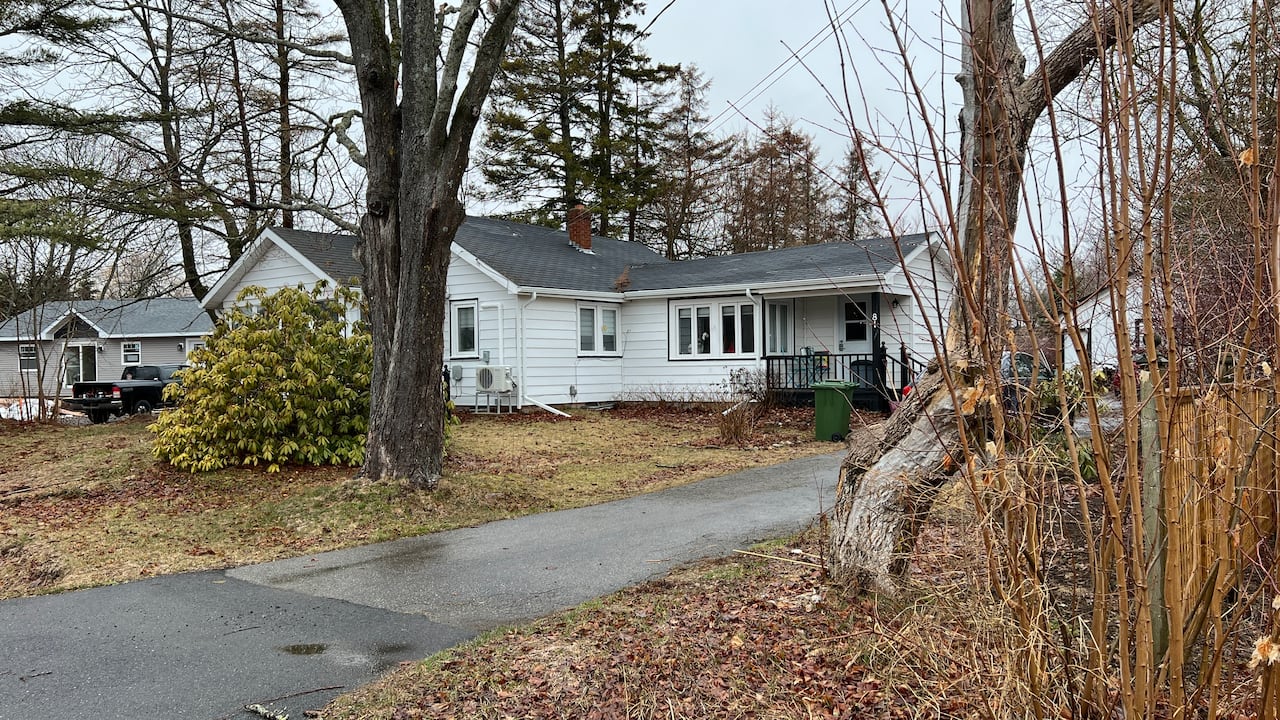 A driveway leads up to a white house with trees and a large bush in front of it. 
