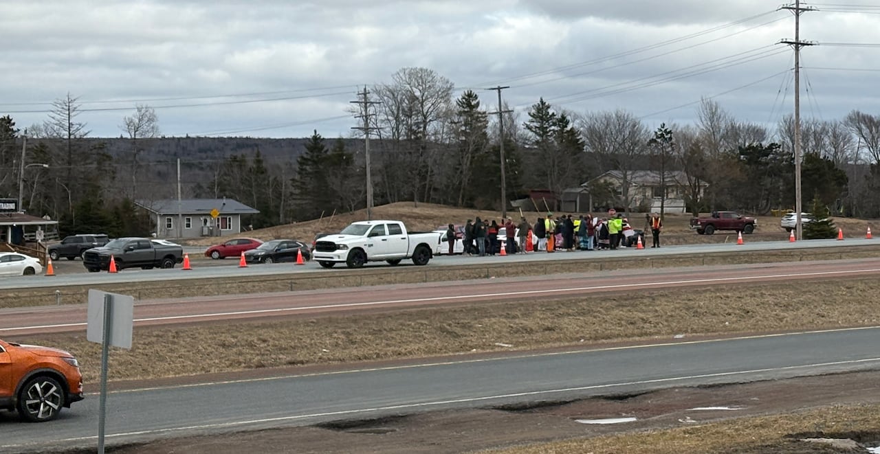 A highway is seen with a group of protesters and pylons. 